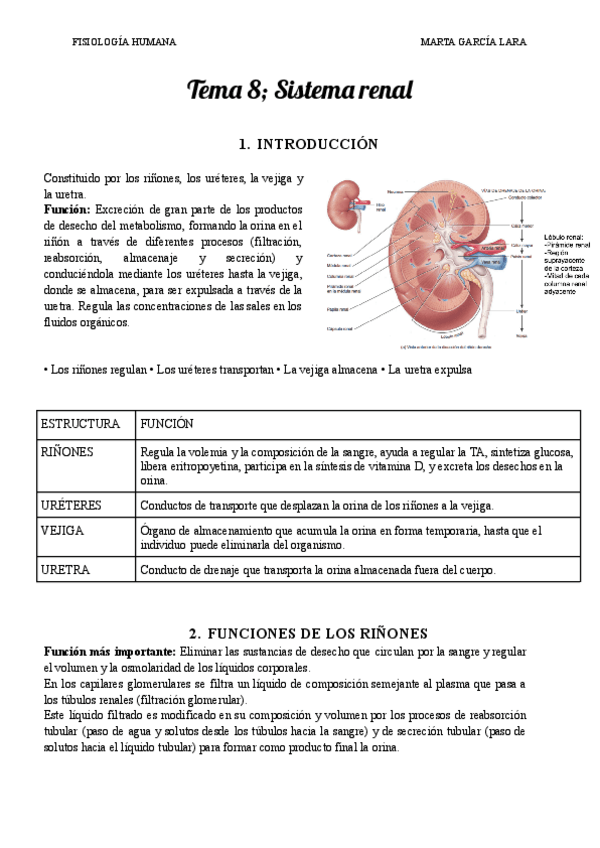 Miniatura del documento Tema-8-Sistema-renal.pdf
