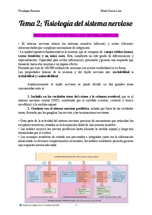 Miniatura del documento TEMA-2-FISIOLOGIA-DEL-SISTEMA-NERVIOSO.pdf