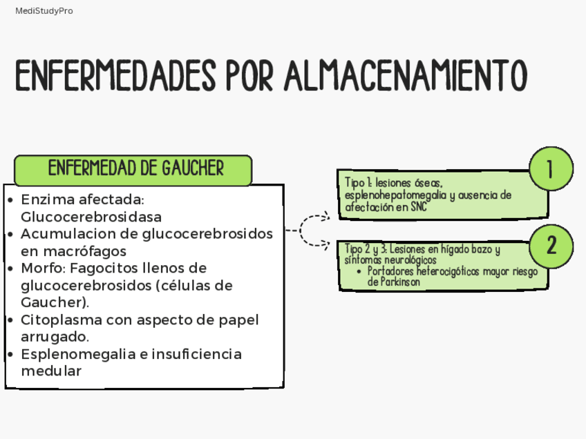 Miniatura del documento TABLA-RESUMEN-AP.pdf
