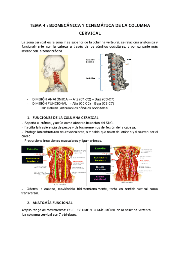 Miniatura del documento biomecanica-t4.pdf