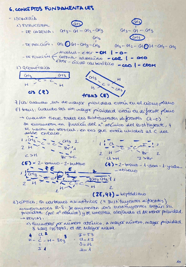 Miniatura del documento todo-organica.pdf
