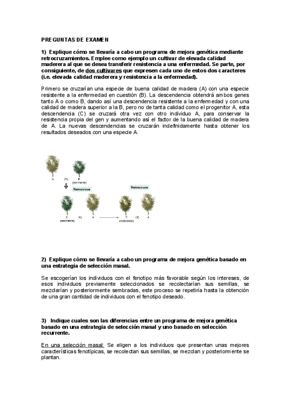 Miniatura del documento Preguntes-dexamen-b.pdf