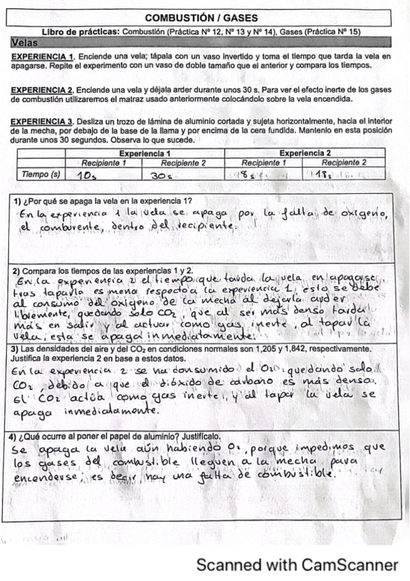Miniatura del documento Informe-COMBUSTION-GASES.pdf