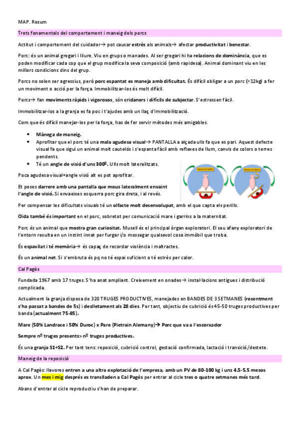 Miniatura del documento MAP-clarss.pdf