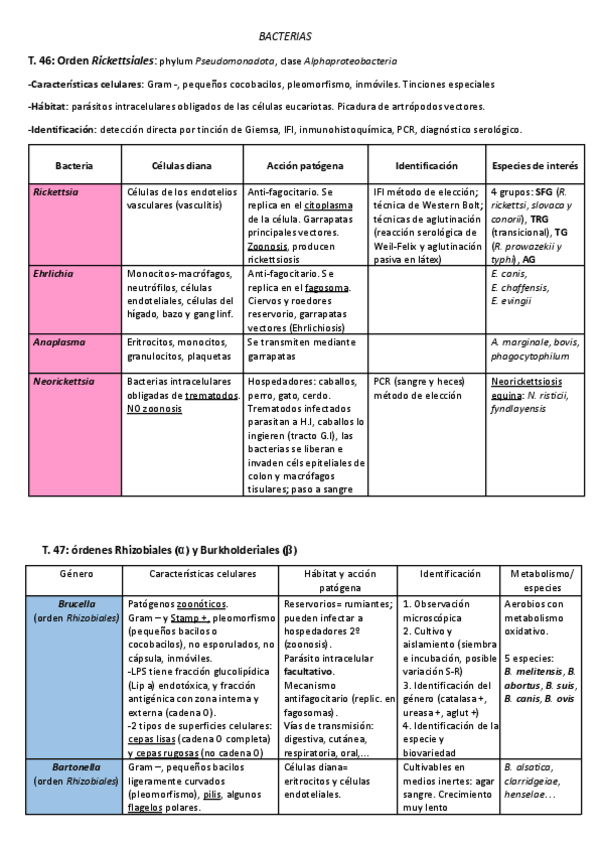 Miniatura del documento Tercer-parcial-micro-repaso.pdf