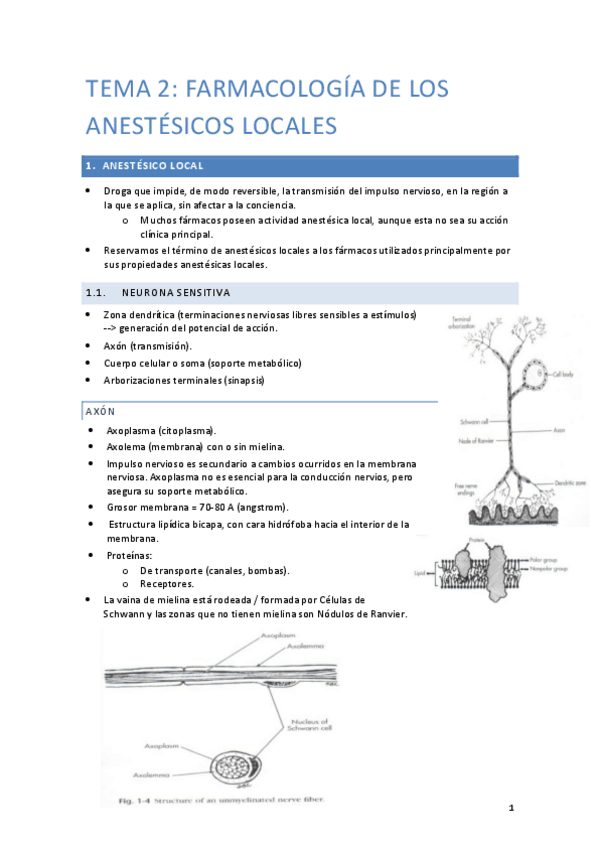 Miniatura del documento APUNTES-ANESTESIOLOGIA.pdf