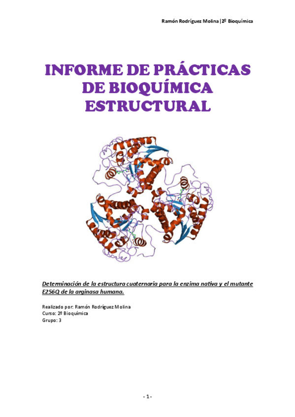 Miniatura del documento Informe-Estructural.pdf