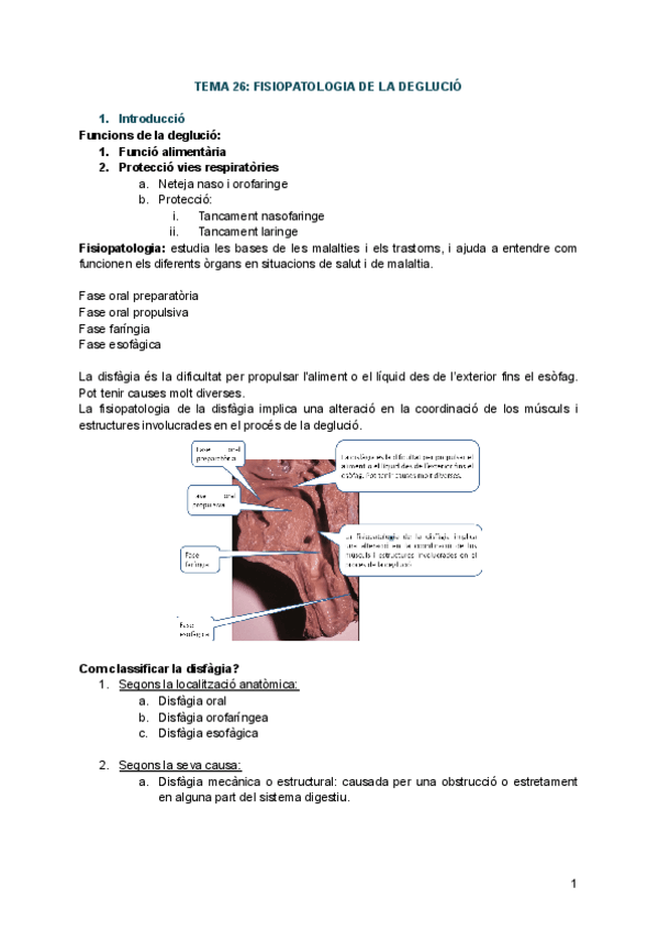 Miniatura del documento TEMA-26-FISIOPATOLOGIA-DE-LA-DEGLUCIO.pdf