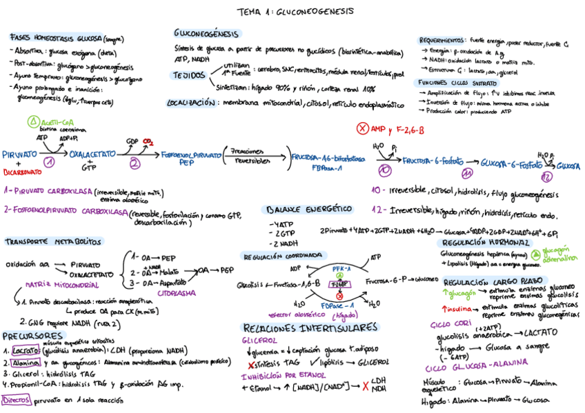 Miniatura del documento Esquemestemes.pdf
