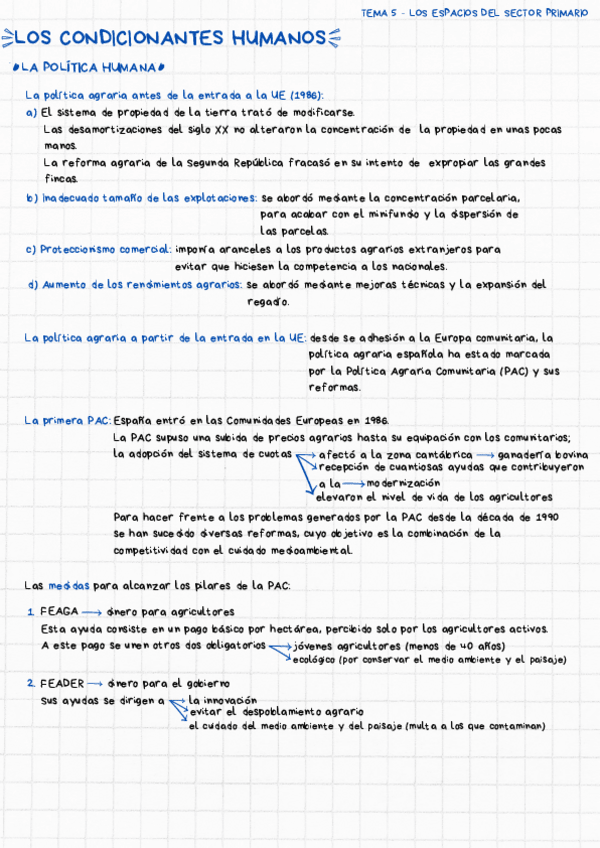 Miniatura del documento APUNTES-GEOGRAFIA-SECTORES.pdf