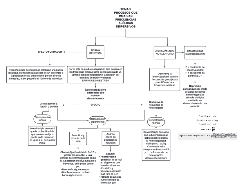Miniatura del documento ESQUEMA-TEMA-5.pdf