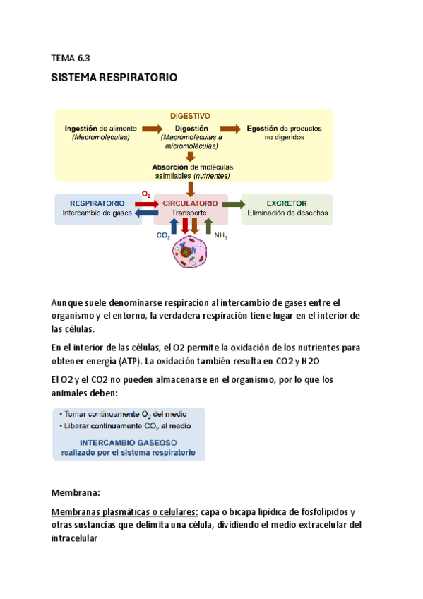 Miniatura del documento tema-6.3-zoologia.pdf
