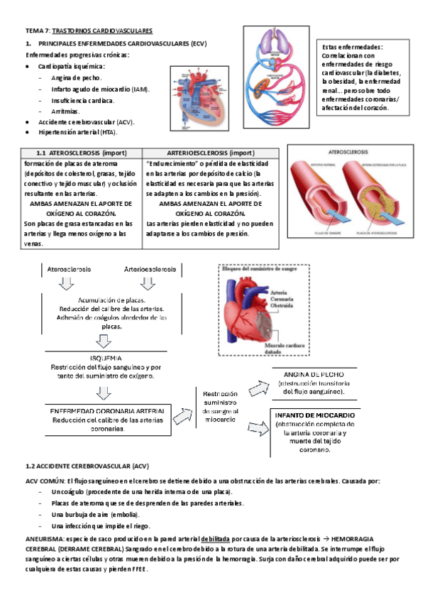 Miniatura del documento TEMA-7.pdf