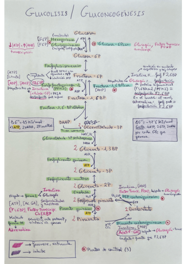 Miniatura del documento Esquemas, rutas y ciclos.pdf