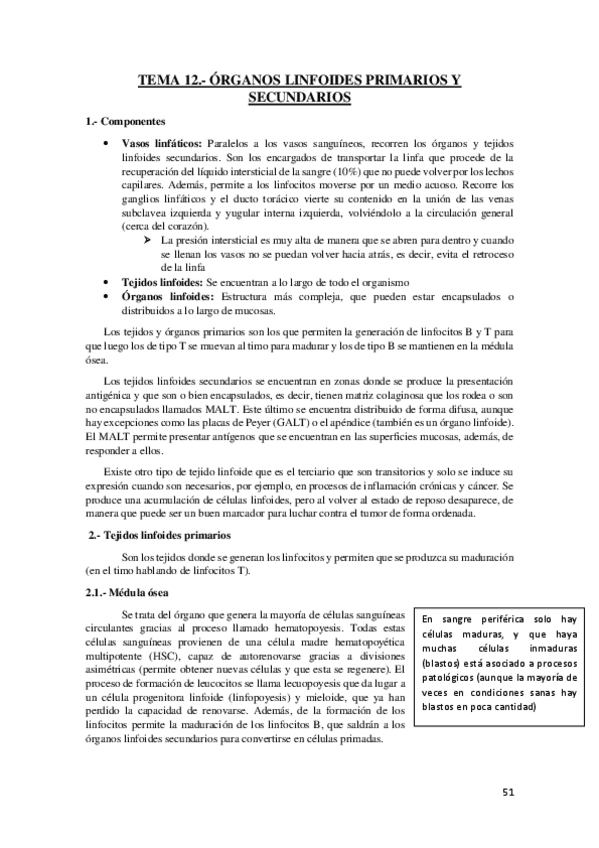 Miniatura del documento Segundo-parcial.pdf