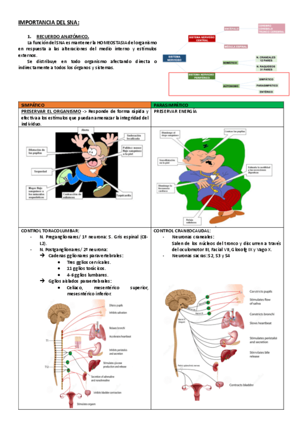 Miniatura del documento 21.-Redactado-IMPORTANCIA-DEL-SNA.pdf