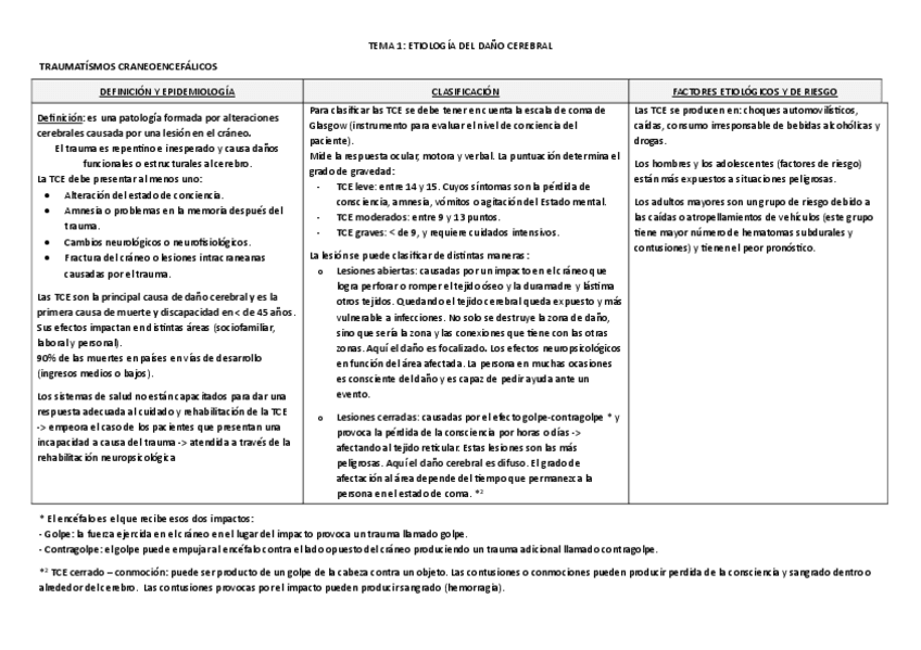 Miniatura del documento TEMA-1.pdf