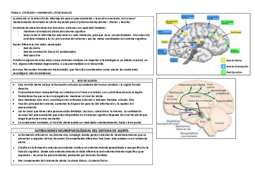 Miniatura del documento TEMA-3.pdf