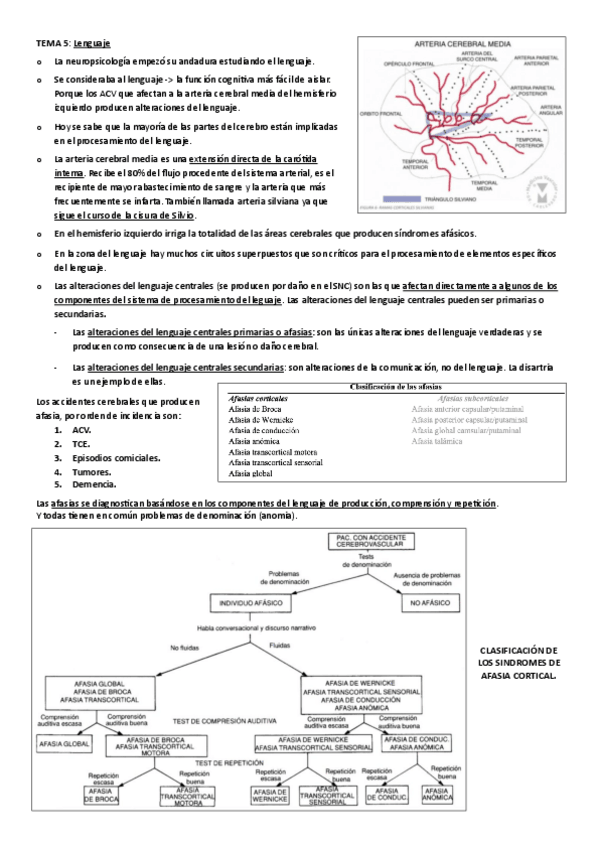 Miniatura del documento TEMA-5.pdf