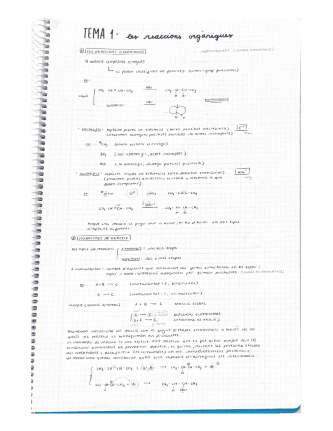 Miniatura del documento apunts-BRO.pdf