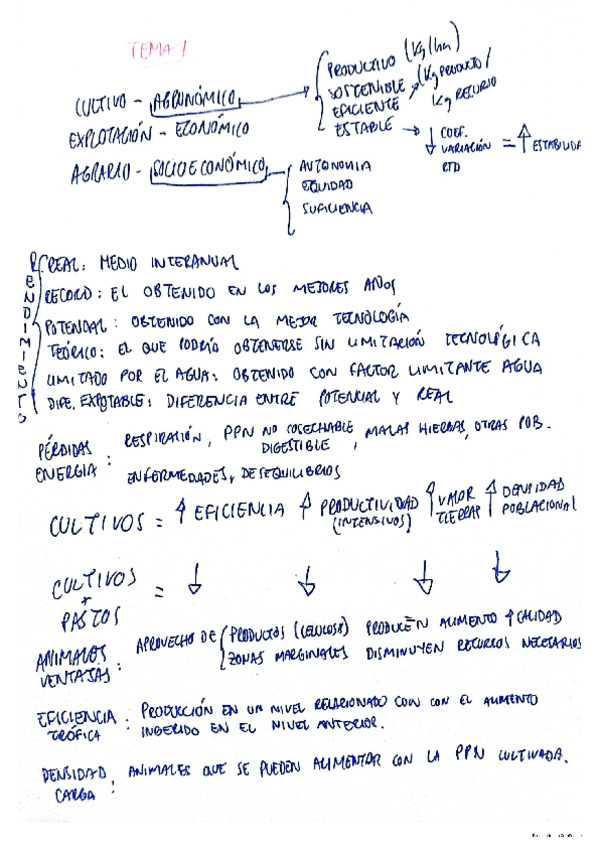 Miniatura del documento resumen-teoria.pdf