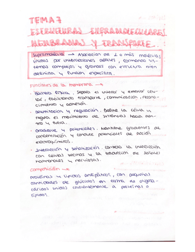 Miniatura del documento Tema 7.pdf