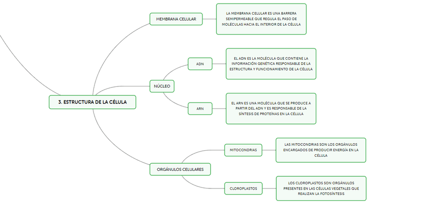 Miniatura del documento estructura-de-la-celula-3.png