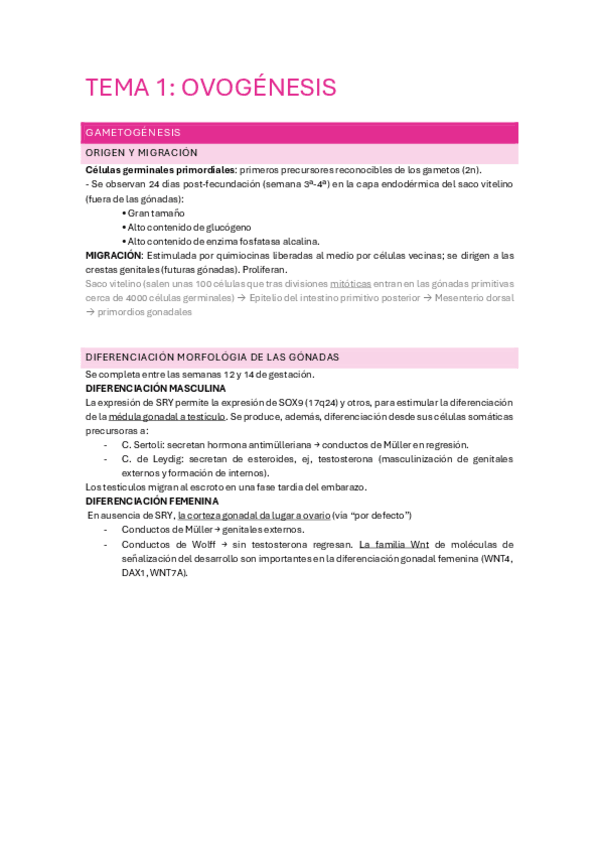 Miniatura del documento TEMA-1-EMBRIO.pdf