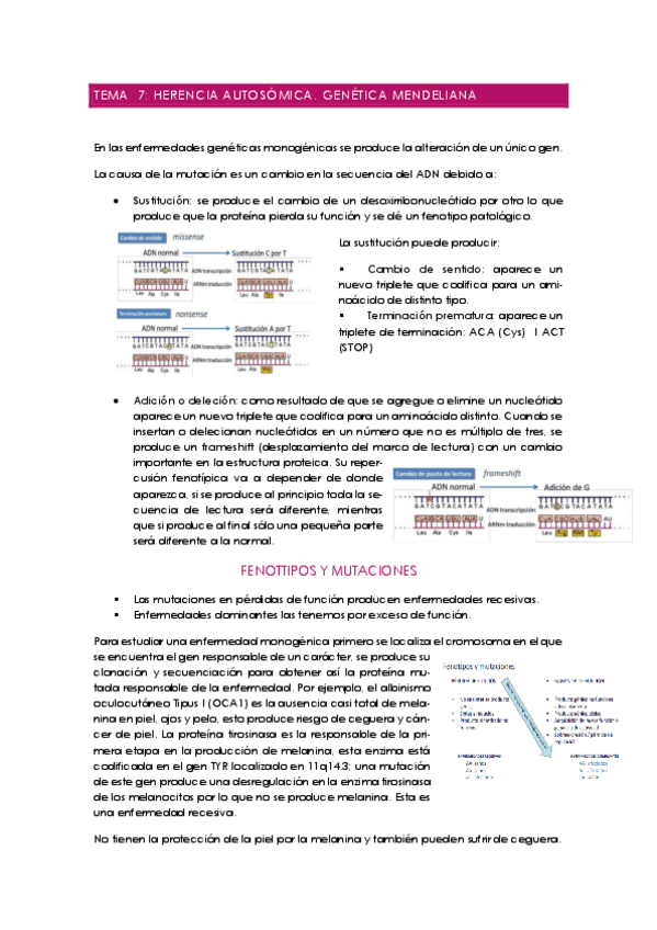Miniatura del documento Tema-7-embriolgia-cosas-que-faltan.pdf