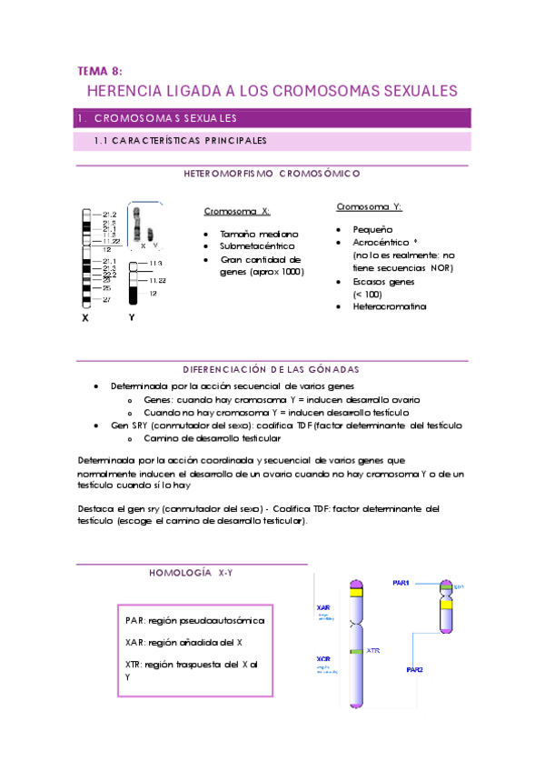 Miniatura del documento TEMA-8.pdf