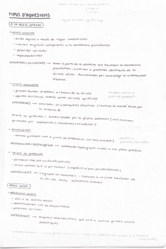 Miniatura del documento esquemes-cito.pdf