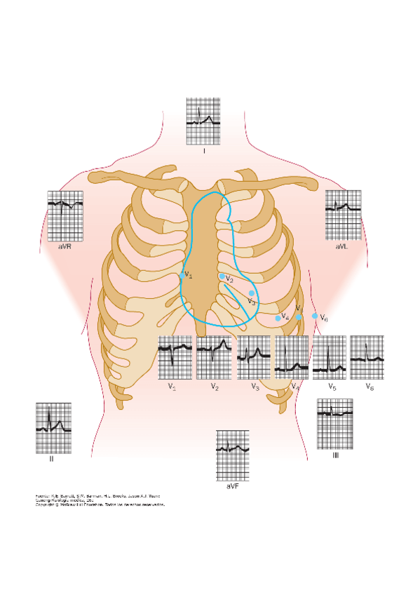 Miniatura del documento DERIVACIONES-ELECTROCARDIOGRAFICAS-esquema.pdf