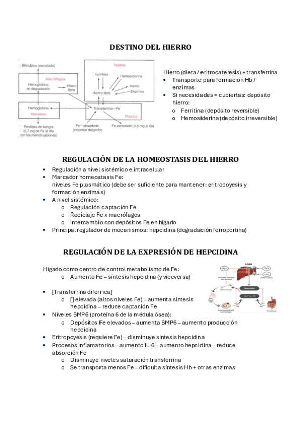 Miniatura del documento T.20-HIERRO.pdf