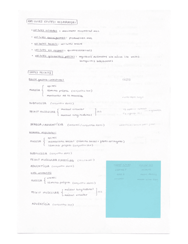 Miniatura del documento esquemes-cito-2.0.pdf