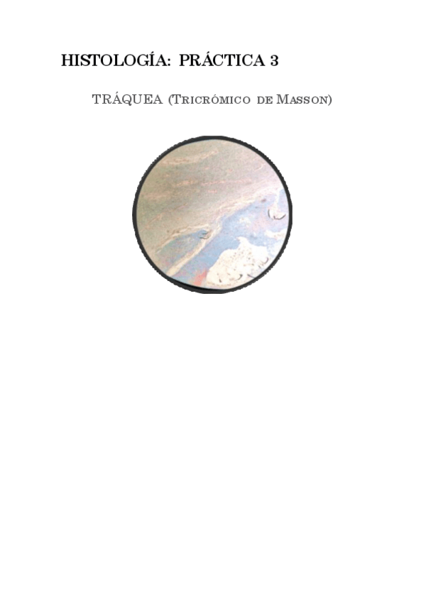Miniatura del documento practica-3-histo.pdf