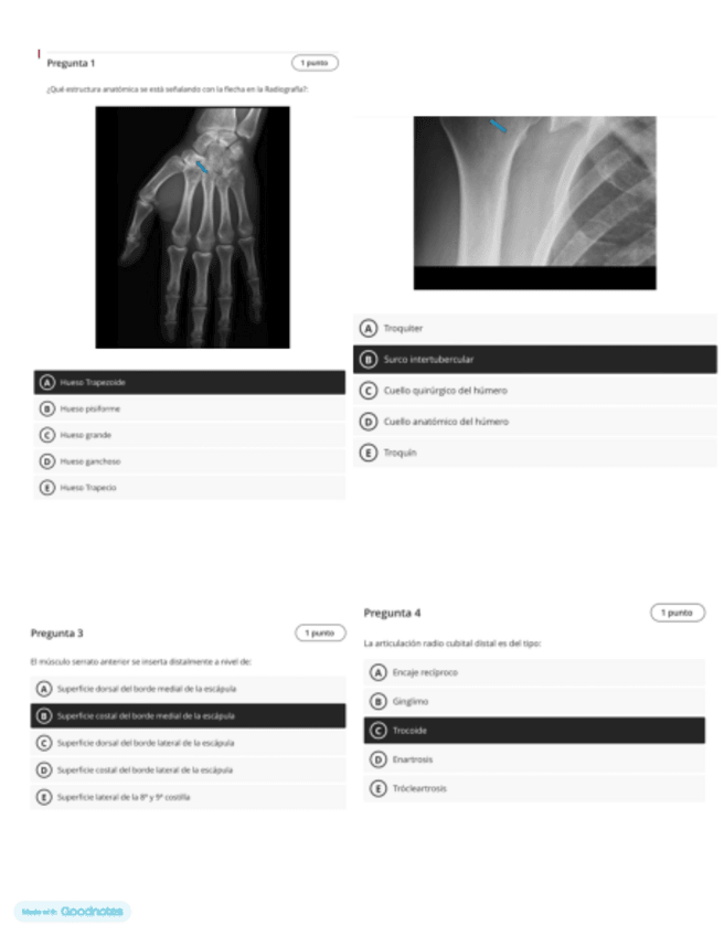 Miniatura del documento Examenes-Dorado.pdf