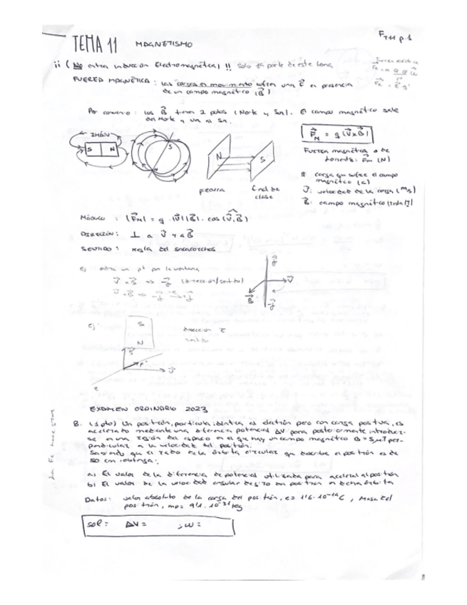 Miniatura del documento T11-Magnetismo.pdf