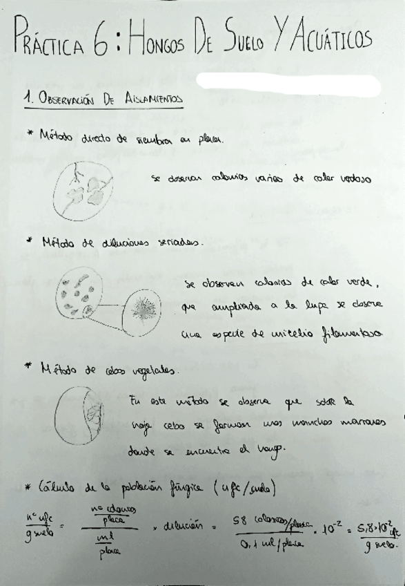 Miniatura del documento PRACTICA-6.pdf