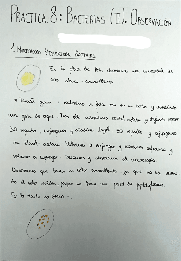 Miniatura del documento PRACTICA-8.pdf