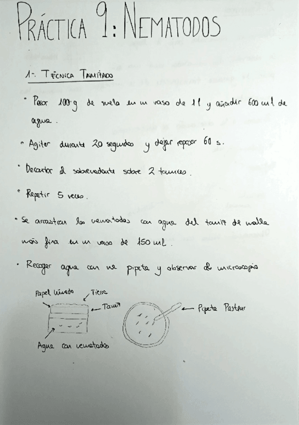 Miniatura del documento PRACTICA-9.pdf