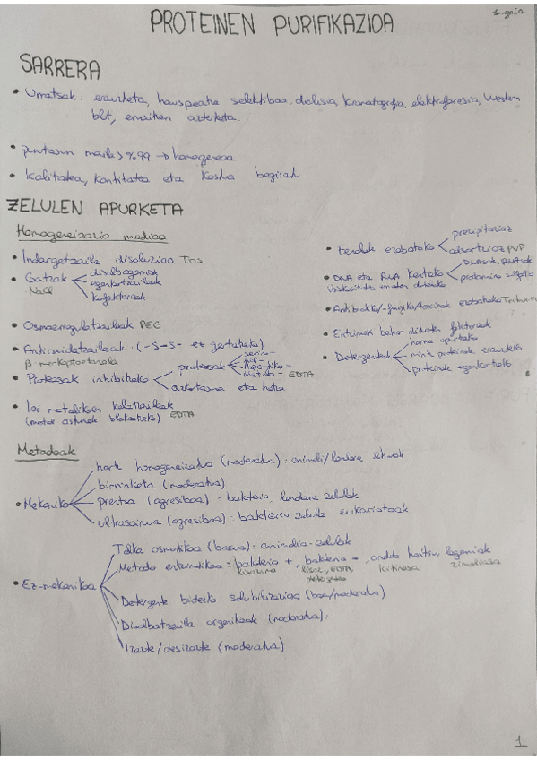 Miniatura del documento teoria-guztia.pdf