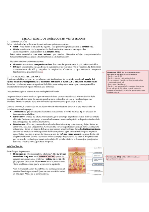 Miniatura del documento TEMA-3-SENTIDOS-QUIMICOS-EN-VERTEBRADOS.pdf
