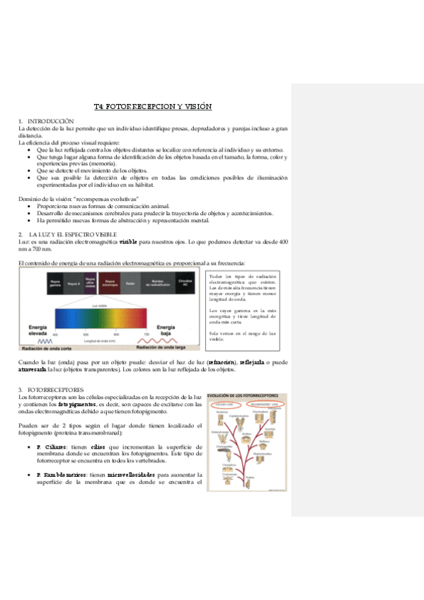 Miniatura del documento TEMA-4-FOTORRECEPCION-Y-VISION.pdf