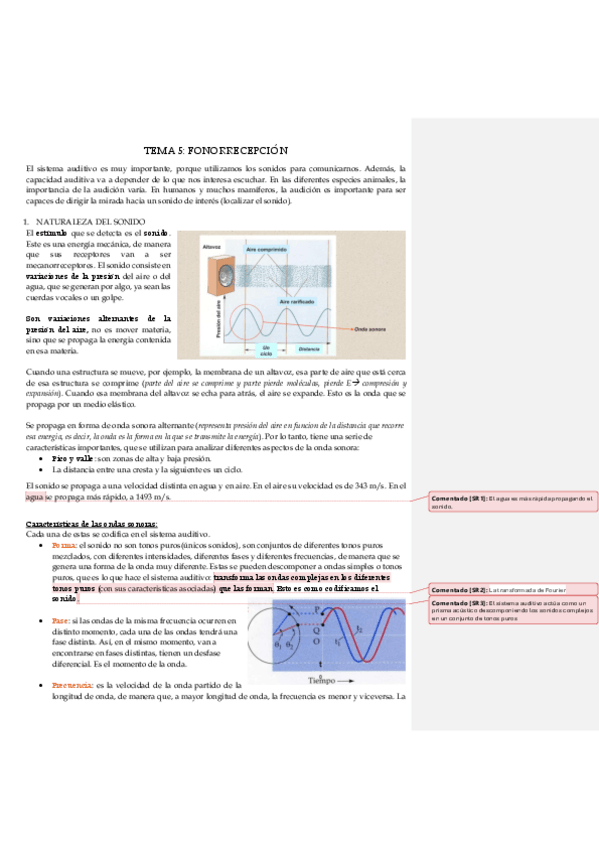 Miniatura del documento TEMA-5-FONORRECEPCION.pdf