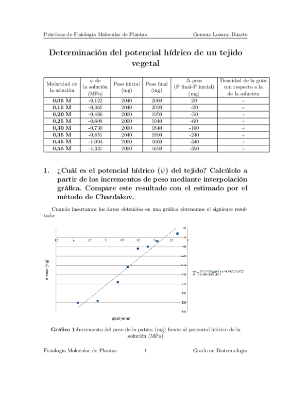 Miniatura del documento Memoria-Practica-Potencial-Hidrico.pdf