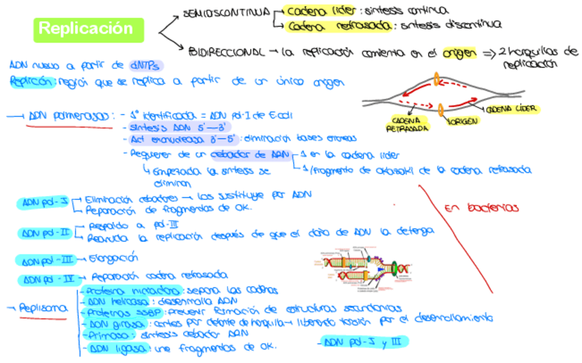 Miniatura del documento Esquema-3-parcial.pdf