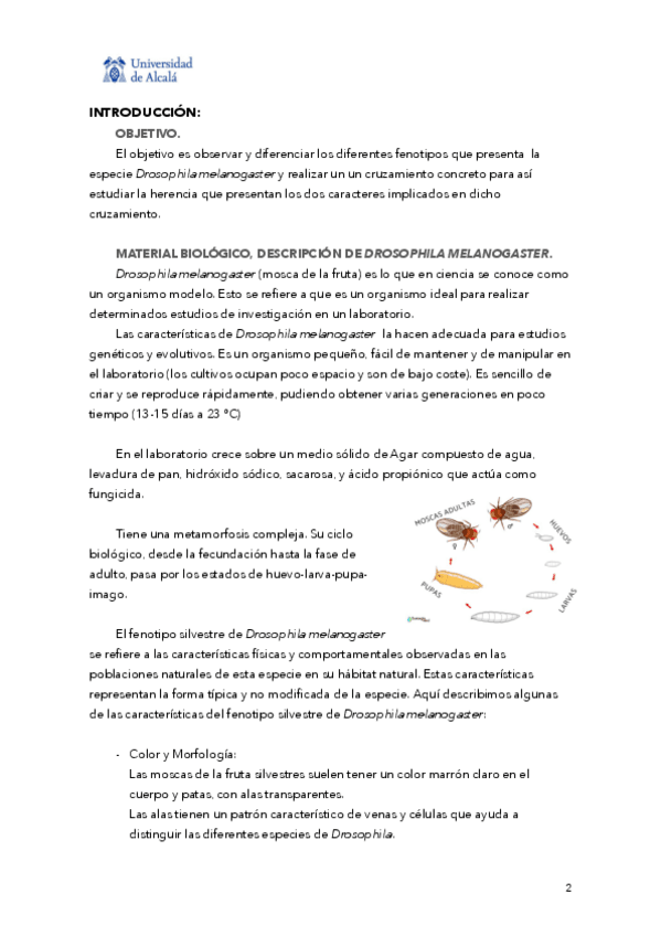 Miniatura del documento Articulo-moscas.pdf