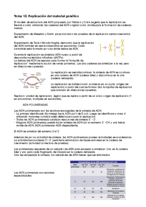 Miniatura del documento tema-13-genetica.pdf