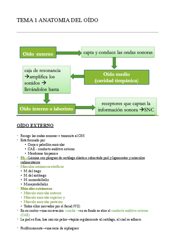 Miniatura del documento OIDO.pdf