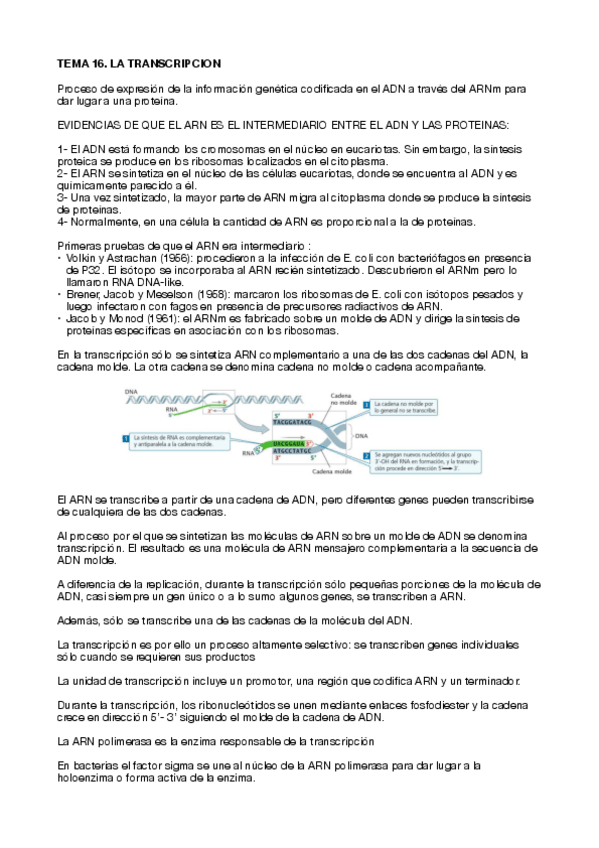 Miniatura del documento tema-16-genetica.pdf